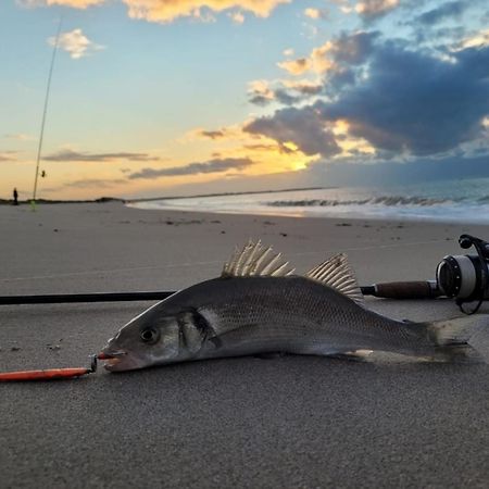 Ferienparadies Seeluft Kamperland Esterno foto